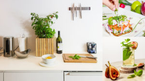 Zelf kruiden kweken in de keuken: Kruidenplanten op het aanrecht – Squarely, Andrew Wong en Monstruo Estudio, Unsplash.com 