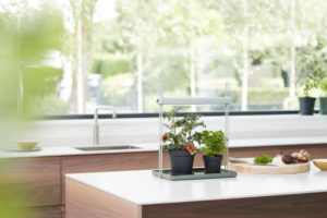 Zelf kruiden kweken in de keuken: plant lamp: Elho LED kweeklamp 