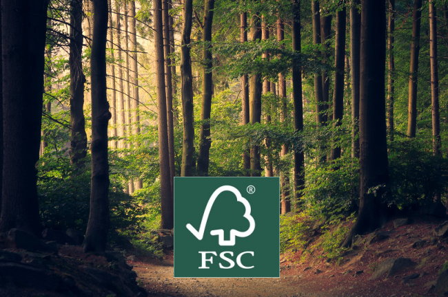FSC keurmerk voor duurzaam hout uit verantwoord bosbeheer - FSC logo & Lukasz Szmigiel